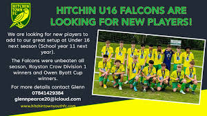 Image result for Herts Falcons