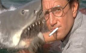 Imagine, if you will, that Supervisor Chris Daly is Police Chief Martin Brody. We&#39;ll let you figure out who, in this analogy, the toothy fellow behind him ... - jaws_swims_behind_chief_brody