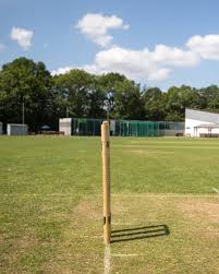 Image result for Oxshott Village Cricket Club