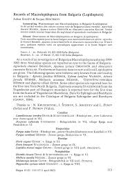 Attēlu rezultāti vaicājumam “Lamellocossus terebra”