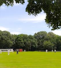 Image result for South Weald Cricket Club