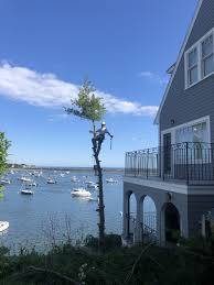 Image result for North Gloucester