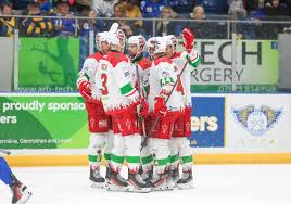Image result for Cardiff Devils