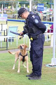 Image result for Northants Police Bowls Club