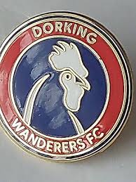 Image result for Dorking Wanderers F C