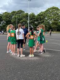 Image result for Newdigate Netball Club