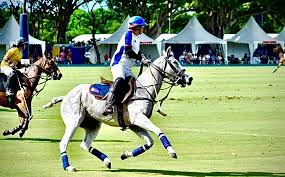 Image result for Kings Ranch Riding School/Club