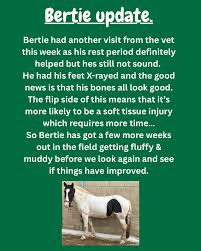 Image result for Greenways Riding Stable Lower Eashing