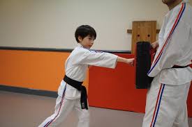 Image result for Macclesfield Dojo