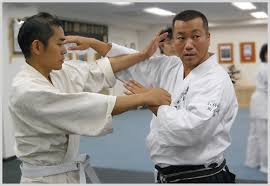 Image result for Imi Jishin Ryou karate do