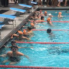 Image result for Cornwall Swim Club