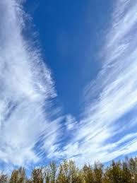 Attēlu rezultāti vaicājumam “Cirrus fibratus”