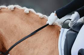 Image result for Thames Valley Riding Club