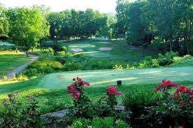 Image result for Brookside Badminton Club