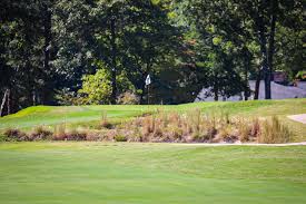 Image result for Camden Gc