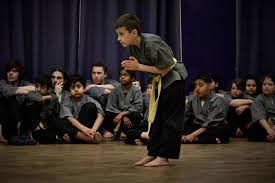 Image result for Shaolin Nam Pai Chuan Kung Fu - Manchester Martial Arts Centre