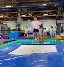 Image result for Fish trampoline and gymnastics club