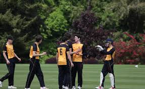 Image result for Downe Cricket Club