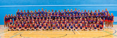 Image result for Elvington Ladies Netball Club