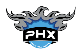 Image result for Phoenix Martial Arts