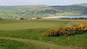 Image result for Cardigan Golf Club