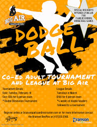 Image result for The Dodgeball Company