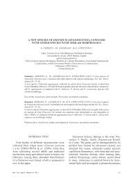 Attēlu rezultāti vaicājumam “Didymium crustaceum macro”