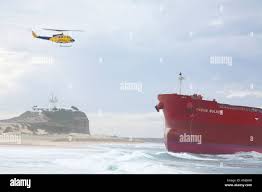 Image result for Pasha bulker