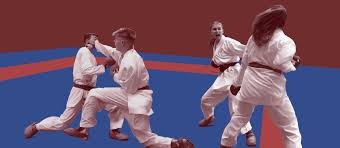 Image result for Llantrisant Tkd