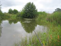 Image result for Bay Malton Angling Club