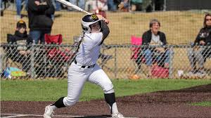 Image result for Newbold Community Football Training