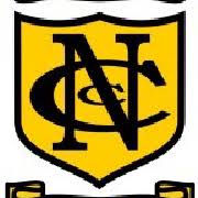 Image result for Bromham Nomads Cricket Club