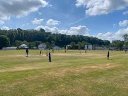 Image result for Bronwydd Cricket Club
