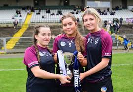 Image result for St Rita`s Camogie Club