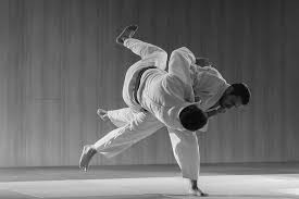 Image result for Rainham Judo Club