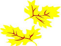 Fall Coloured Leaf clip art Vector clip art   Free vector for free