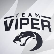 Image result for Team Viper Triathlon Team