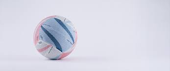 Image result for Leapoole Netball Club