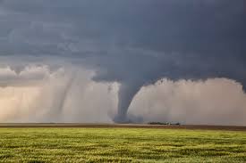 Image result for Tadcaster Tornadoes