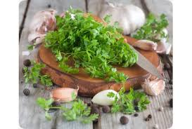 Image result for Kerbel