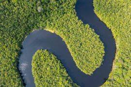 Attēlu rezultāti vaicājumam “Diderma montanum macro”