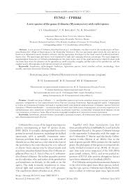 Attēlu rezultāti vaicājumam “Cribraria languescens spores”