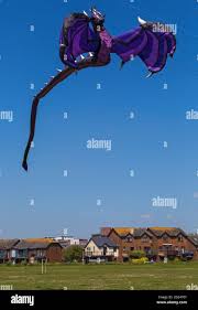 Image result for Poole Kite Fliers