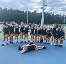 Image result for Foxes Netball Club
