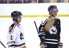 Image result for Streatham Night Wolves Ice Hockey Team
