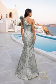 Image result for backmodel terzi