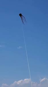 Image result for Atmosphere Kites