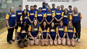 Image result for Deva Handball Club