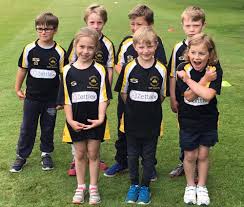 Image result for Mildenhall Cricket Club