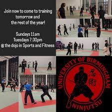 Image result for Manchester University Ninjutsu Society